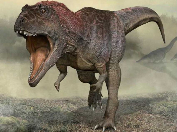 Ternyata Ini Penyebab Dinosaurus Besar Seperti T-Rex Punya Lengan Kecil