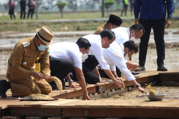 Jokowi Apresiasi Lompatan Kerja Kementan dalam Produksi Benih Unggul Padi