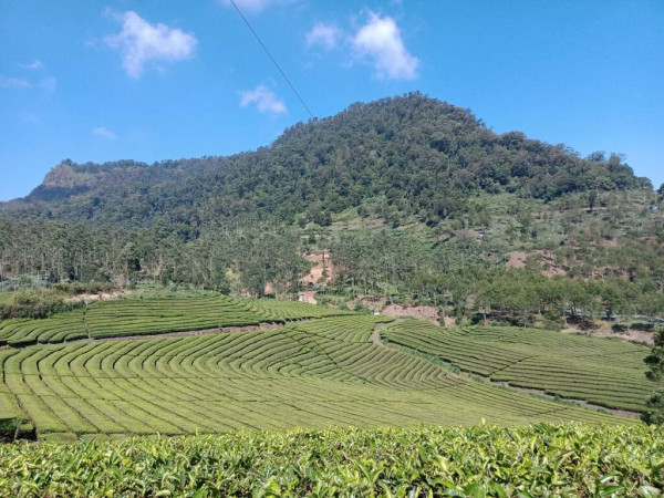 4 Tempat Wisata di Bandung yang Masih Perawan, Suguhkan Pemandangan Alam Indah