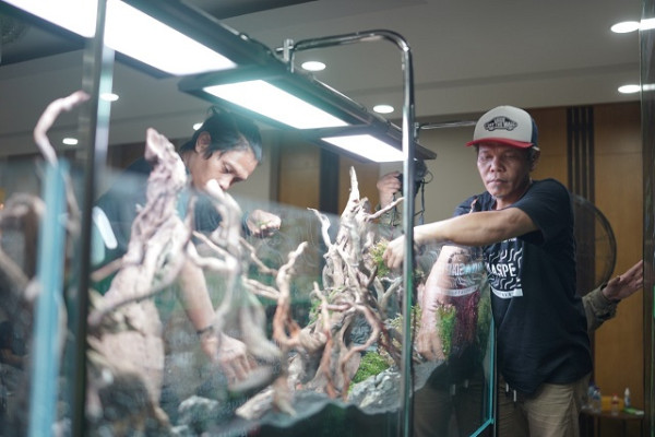 Dorong Kepedulian Lingkungan Sekaligus Tingkatkan Ekonomi, Pegadaian Ajak Masyarakat Buka Peluang Usaha Aquascape