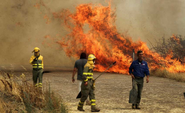Gelombang Panas Kepung Inggris, Kebakaran Hutan di London Makin Membara