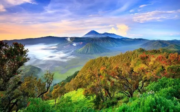 5 Pulau dengan Penduduk Terbanyak di Dunia, Nomor 3 dan 4 Ada di Indonesia