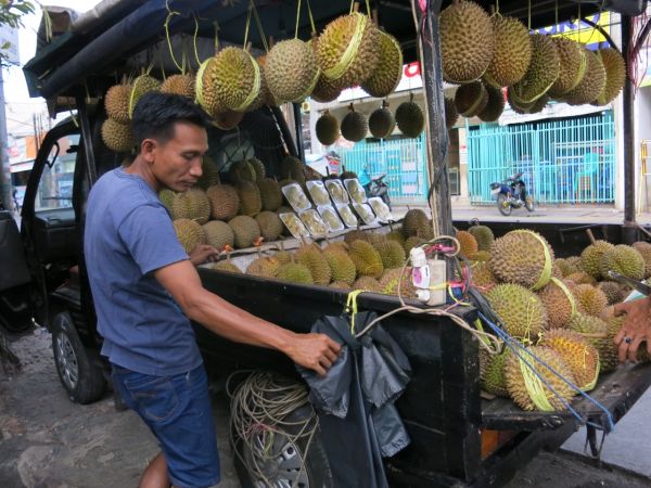 Menemukan Jalan yang Pasti di Masa Pandemi Lewat Jalur OLX Autos