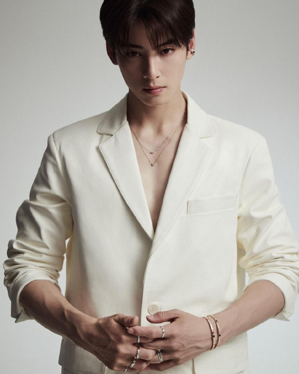 6 Penyelenggaraan Konser K-Pop di Indonesia yang Bikin Kecewa Penonton, Terbaru Cha Eun-Woo
