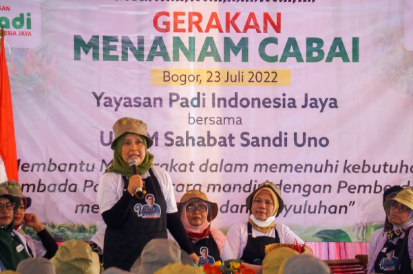 Relawan UMKM Sahabat Sandi Gelar Pelatihan Budidaya Cabai di Bogor