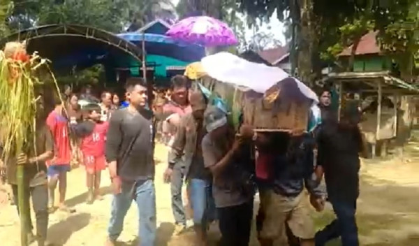 Tragis! Pria Ini Tewas Diserang Ratusan Tawon Awang Berenteng