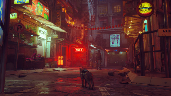 Developer Game Stray Bekerjasama untuk Rawat Kucing Jalanan