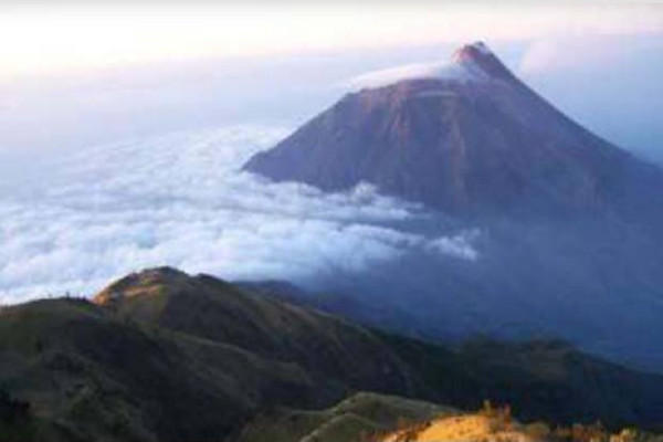 4 Tradisi 1 Muharram di Indonesia, Nomor 3 Ada Kirab Kebo Bule