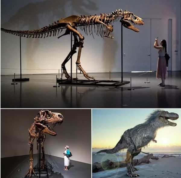 Fosil Gorgosaurus Berusia 77 Juta Tahun Terjual Rp88,5 Miliar