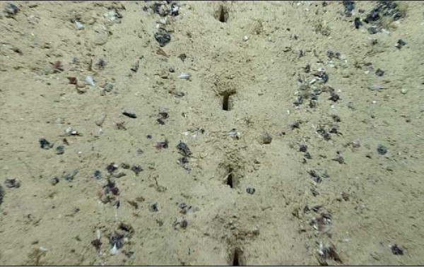 Ditemukan Lubang Misterius di Dasar Laut Atlantik, Sempat Dikira Perbuatan Alien