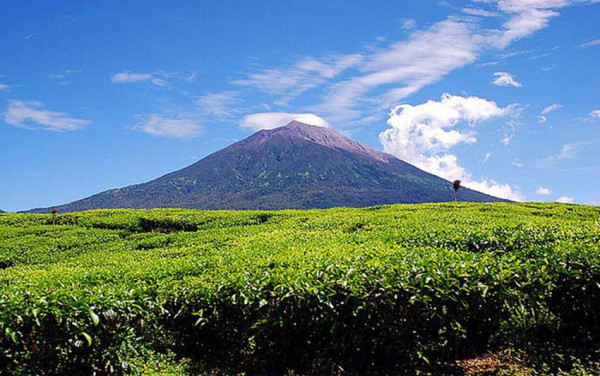 5 Gunung Tertinggi di Indonesia, Semua Punya Keunikan dan Memikat