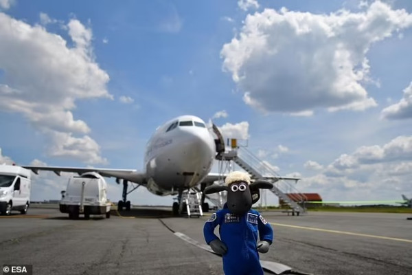 Unik, Shaun the Sheep Gabung dengan Misi NASA ke Bulan