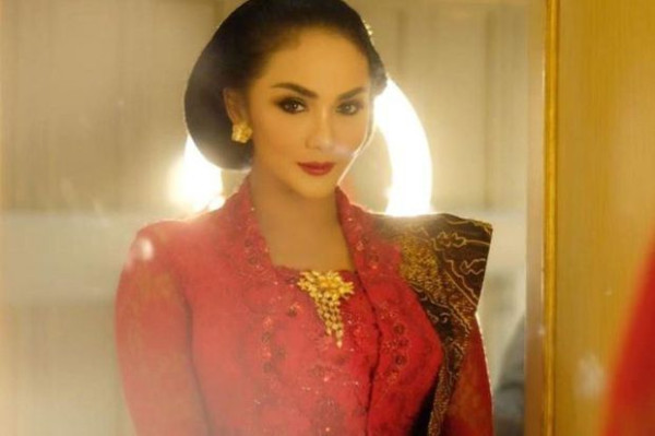 8 Artis yang Jadi Anggota DPR, Nomor 5 Menjabat Tiga Periode