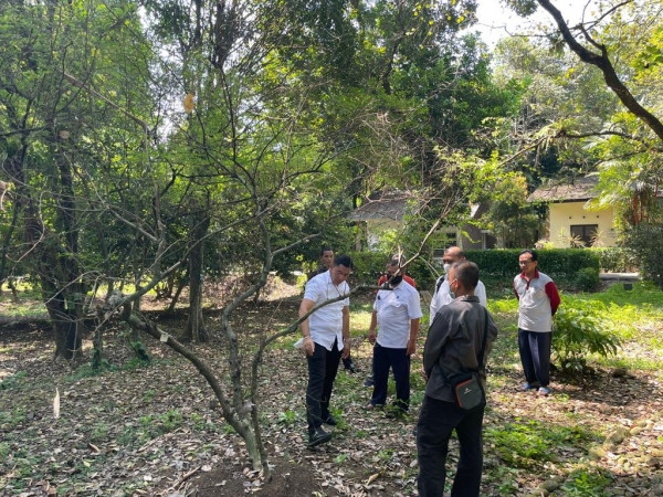 Heboh Bahan Kokain dari Tanaman di Kebun Raya Bogor, Begini Faktanya
