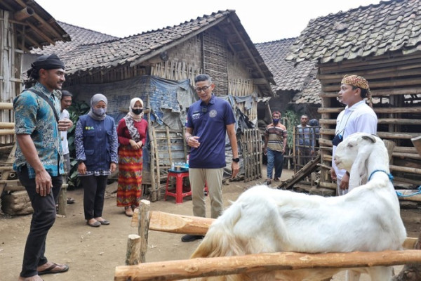 Sandiaga Dorong Pegiat Susu Kambing Etawa di Bondowoso Terus Berkembang