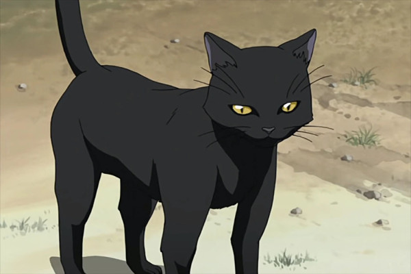 10 Karakter Anime Ini Bisa Berubah Wujud Menjadi Kucing