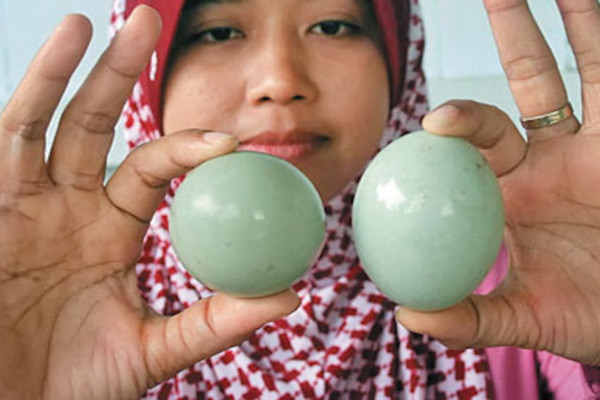 4 Telur yang Mengandung Kolesterol, Mana Paling Tinggi?
