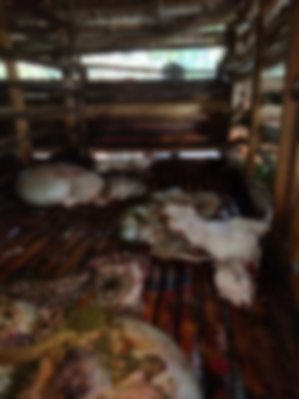 Pencurian Sadis dan Aneh di Bogor! 9 Ekor Kambing Dipotong di Kandang, Hanya Sisakan Jeroan