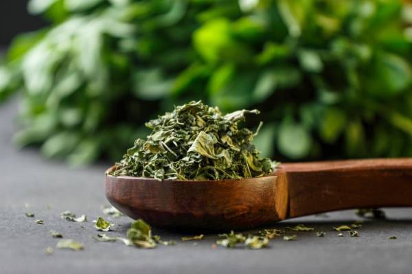 5 Daun yang Bisa Menurunkan Kolesterol Jahat, Nomor 3 Dipakai Masak Setiap Hari