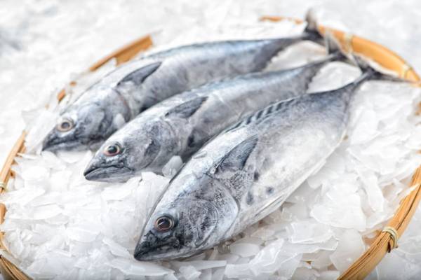 6 Ikan yang Bisa Menurunkan Kolesterol Jahat, Wajib Ada di Rumah