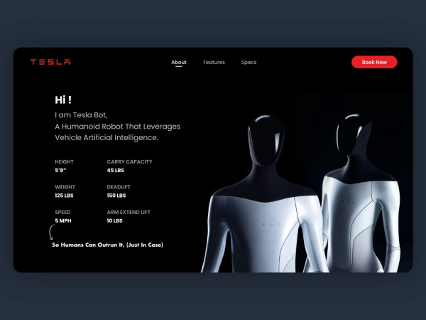 Robot Humanoid Buatan Tesla akan Lebih Murah dari Mobil