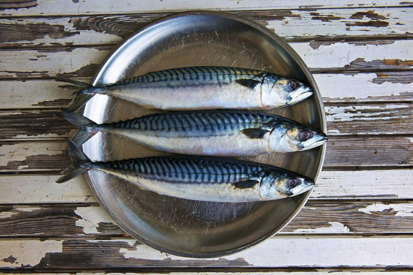 5 Ikan yang Mengandung Kolesterol Jahat, Jangan Dimakan Setiap Hari