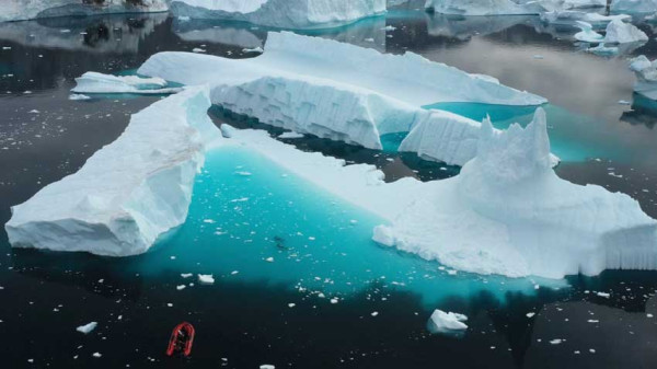 Ilmuwan Temukan Rahasia Ikan di Bawah Es Greenland Tetap Hidup Tidak Membeku