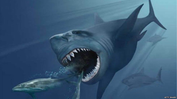 Model Tiga Dimensi Terbaru Megalodon Temukan Fakta-fakta Mengerikan Anyar