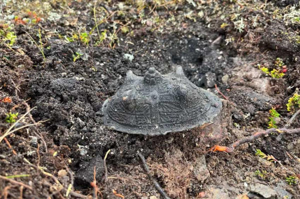 Ilmuwan Swedia Temukan Makam Viking Wanita Pertama di Pegunungan