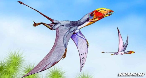 4 Dinosaurus Terbang yang Pernah Hidup di Bumi, Nomor 3 Ditemukan di Jerman