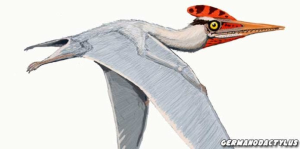 4 Dinosaurus Terbang yang Pernah Hidup di Bumi, Nomor 3 Ditemukan di Jerman