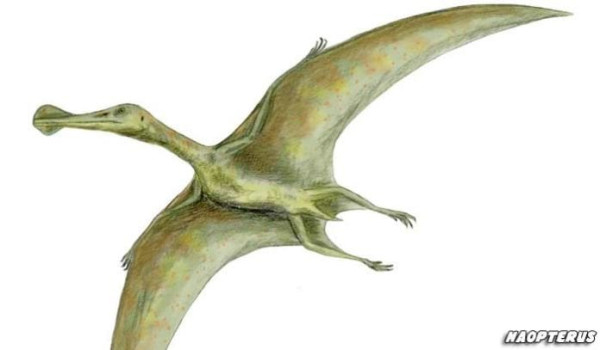 4 Dinosaurus Terbang yang Pernah Hidup di Bumi, Nomor 3 Ditemukan di Jerman