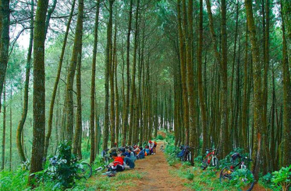 4 Rekomendasi Wisata Alam di Garut, Cocok Untuk Liburan Keluarga