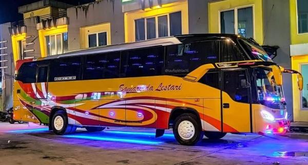 4 PO Bus Mewah di Kalimantan, Punya Banyak Fasilitas yang Bikin Penumpang Nyaman