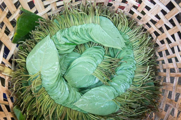 5 Tanaman untuk Obat Kolesterol yang Ampuh, Nomor 4 Biasa Dipakai Masak