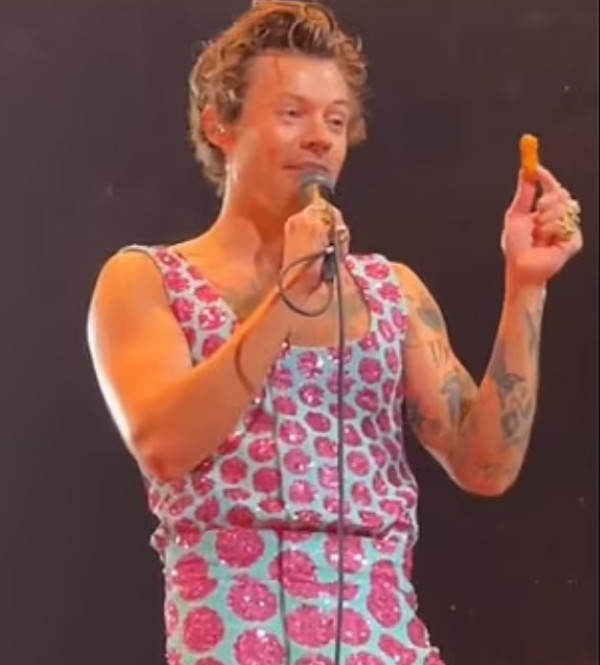 Harry Styles Dilempar Nugget Ayam saat Konser, Pertunjukan Langsung Dihentikan