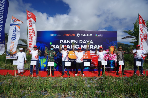 Demplot Bikin Petani Bawang Merah Kian Semringah
