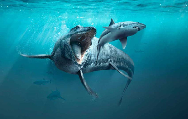 Ini Monster Laut Terganas 66 Juta Tahun Lalu, Dijuluki Predator Gigi Patah