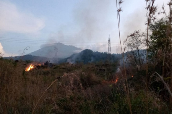 Kobaran Api Lalap 7,25 Hektare Hutan Gunung Ciremai, Petugas Selidiki Pemicu Kebakaran