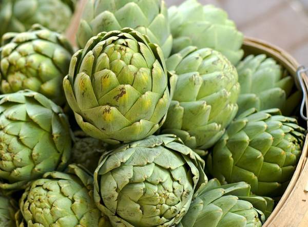 5 Daun Obat Kolesterol yang Ampuh, Mudah Ditemukan