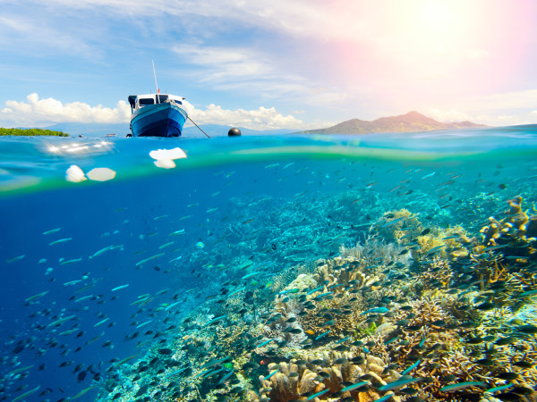 6 Tempat Wisata Alam yang Bikin Semakin Jatuh Cinta dengan Indonesia
