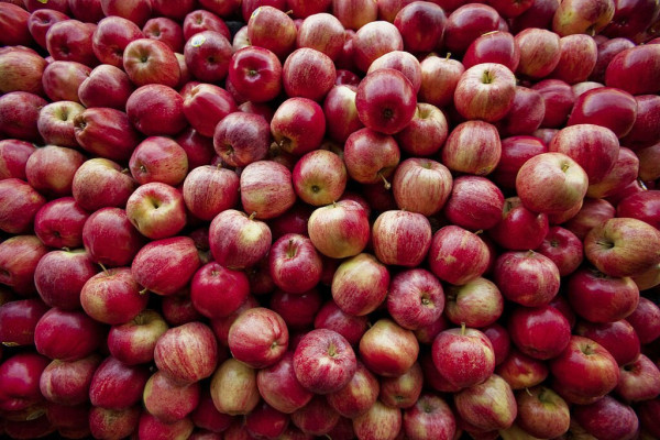 5 Buah Penurun Kolesterol Tinggi yang Ampuh dan Cepat, Terbukti Khasiatnya