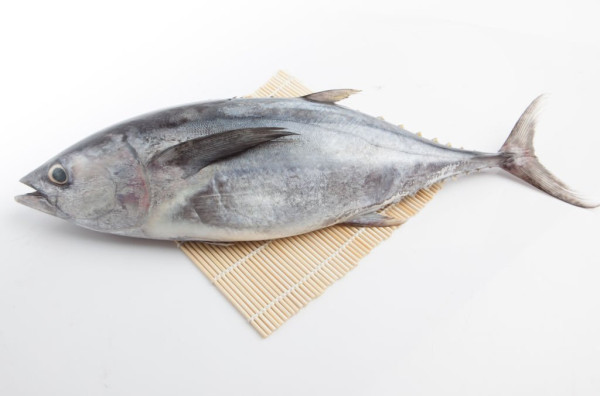 5 Ikan yang Boleh Dimakan Penderita Kolesterol dan Asam Urat