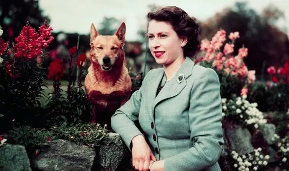 Alasan Ratu Elizabeth II Selalu Tampil dengan Gaya Rambut yang Sama Bertahun-tahun