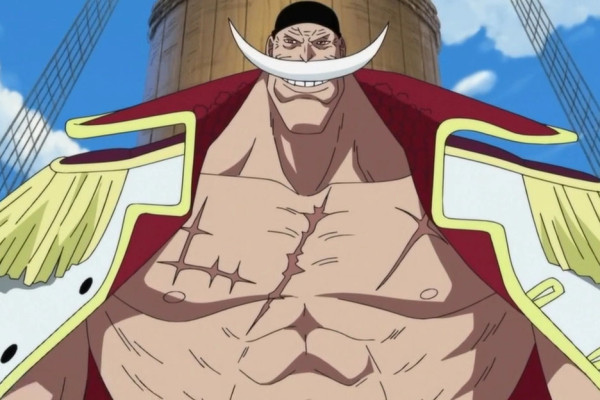 10 Pengguna Haki Haoshoku Paling Kuat di One Piece