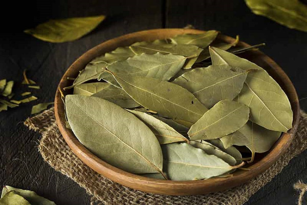 5 Daun Herbal yang Bisa Menurunkan Kolesterol Tinggi, Nomor 2 Sering Dipakai Masak