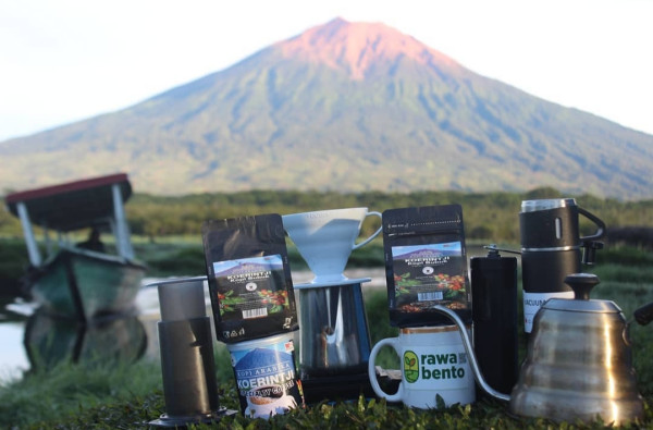 Konsistensi Koperasi Koerintji Barokah Merajut Asa Petani Kopi