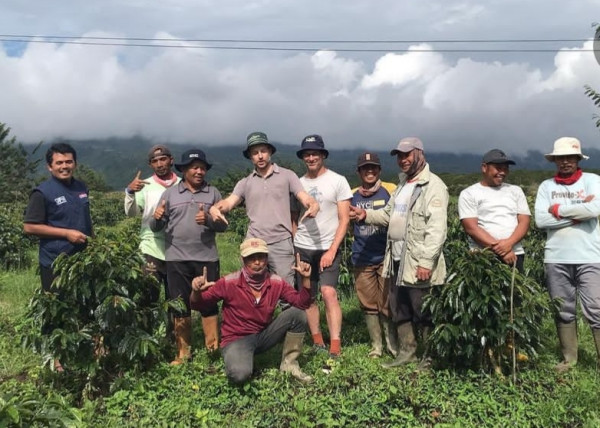 Konsistensi Koperasi Koerintji Barokah Merajut Asa Petani Kopi