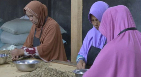 Konsistensi Koperasi Koerintji Barokah Merajut Asa Petani Kopi