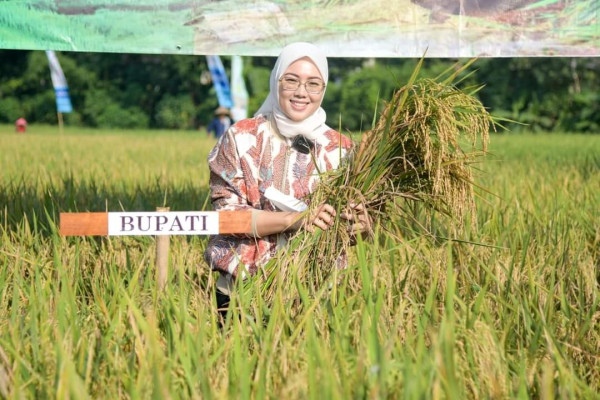 Ini Profil Bupati Purwakarta yang Menggugat Cerai Suaminya Dedi Mulyadi